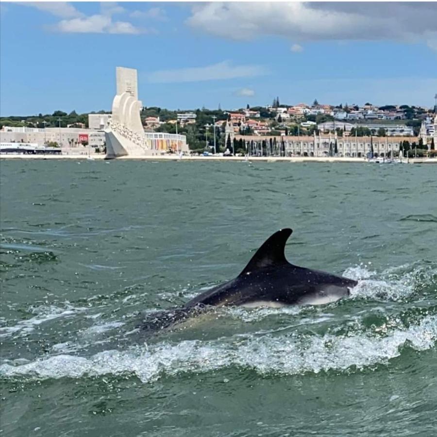 Tejo House River Lisbon 알마다 외부 사진